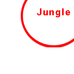 JUNGLE