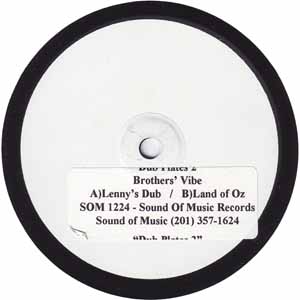 BROTHER'S VIBE / DUB PLATES 2