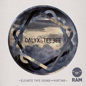 CALYX & TEEBEE / ELEVATE THIS SOUND / HURTING