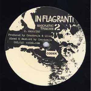 IN FLAGRANTI / SKEMATIC TRACKS VOL. 2