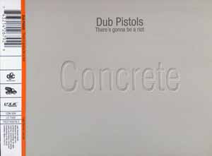 DUB PISTOLS / THERE'S GONNA BE A RIOT