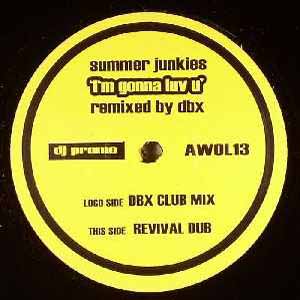 SUMMER JUNKIES / IM GONNA LUV U