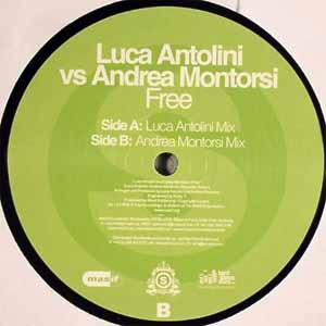 LUCA ANTOLINI VS ANDREA MONTORSI / FREE