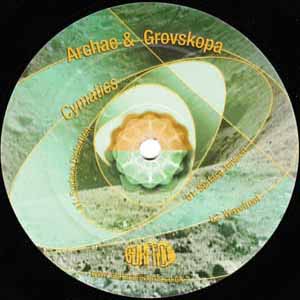 ARCHAE & GROVSKOPA / CYMATICS