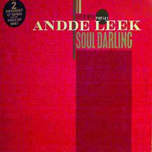 ANDDE LEEK / SOUL DARLING