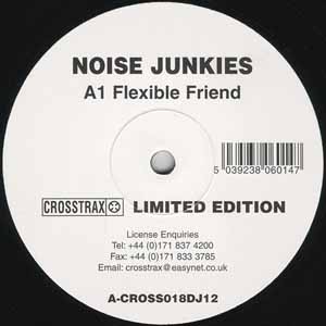 NOISE JUNKIES / FLEXIBLE FRIEND
