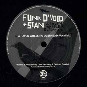 FUNK D'VOID & SIAN / A RAVEN WHEELING OVERHEAD