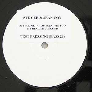 STE GEE & SEAN COY / TELL ME IF YOU WANT ME TOO