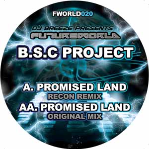 B.S.C. PROJECT / PROMISED LAND