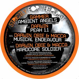 GAMMER / DARWIN / OBIE / MACCA / AMBIENT ANGELS