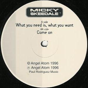 MICKY SKEEDALE / WHAT YOU NEED IS, WHAT YOU WANT