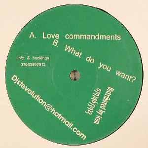 DJ STEVOLUTION / LOVE COMMANDMENTS