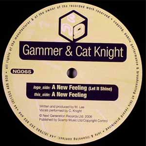 GAMMER & CAT KNIGHT / A NEW FEELING