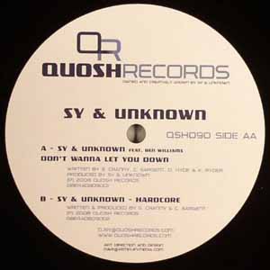 SY & UNKNOWN / DON'T WANNA LET YOU DOWN