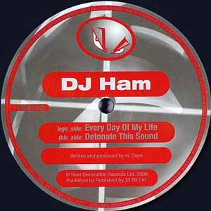 DJ HAM / EVERY DAY OF MY LIFE