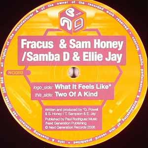 FRACUS & SAM HONEY / WHAT IT FEELS LIKE