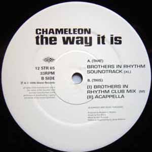 CHAMELEON / THE WAY IT IS