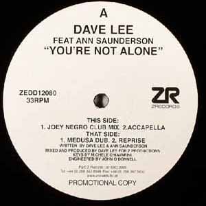 DAVE LEE FEAT ANN SAUNDERSON / YOU'RE NOT ALONE