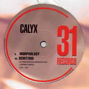 CALYX / MORPHOLOGY