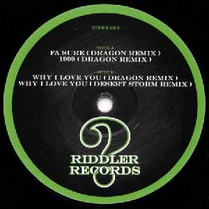 RIDDLER RECORDS / VOLUME 1