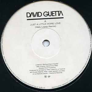DAVID GUETTA / JUST A LITTLE MORE LOVE