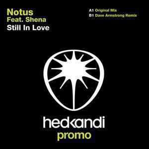 NOTUS FT SHENA / STILL IN LOVE