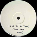 RONI SIZE & DJ DIE / IT'S A BIG UP TING / IT'S A JAZZ THING