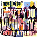 INCOGNITO / DON'T YOU WORRY 'BOUT A THING
