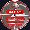 DJ HAM / EVERY DAY OF MY LIFE