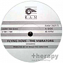 THE VIBRATORS / FLYING HOME