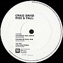 CRAIG DAVID FEAT STING / RISE & FALL (THE REMIXES)