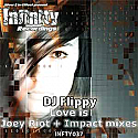 DJ FLIPPY / LOVE IS