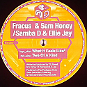 FRACUS & SAM HONEY / WHAT IT FEELS LIKE