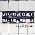 VARIOUS / PERCEPTIONS OF PACHA VOL 1