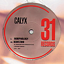 CALYX / MORPHOLOGY