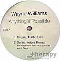WAYNE WILLIAMS / ANYTHING'S POSSIBLE