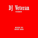 DJ VETERAN REMIX EP 5 / KNIGHT RIDER / MISSING YOU