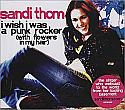 SANDI THOM / I WISH I WAS A PUNK ROCKER