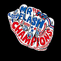 MR FLASH FEAT TTC / CHAMPIONS