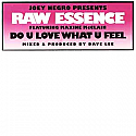 JOEY NEGRO PRES RAW ESSENCE FEAT MAXINE MCCLAIN / DO U LOVE WHAT U FEEL