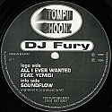 DJ FURY / ALL I EVER WANTED