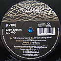 SCOTT BROWN & DMO / FALL INTO YOUR ARMS