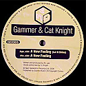 GAMMER & CAT KNIGHT / A NEW FEELING