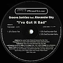 GROOVE JUNKIES FEAT ALEXANDER SKY / I'VE GOT IT BAD