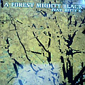 A FOREST MIGHTY BLACK FEAT KITTY K / HIGH HOPES