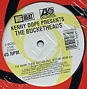 KENNY DOPE PRESENTS THE BUCKETHEADS / THE BOMB! THESE SOUNDS FALL INTO MY MIND