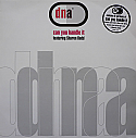 DNA FEAT SHARON REDD / CAN YOU HANDLE IT