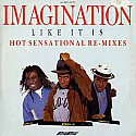 IMAGINATION / LIKE IT IS