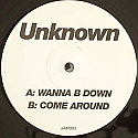 UNKNOWN / WANNA B DOWN / COME AROUND