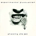 EXPERIMENTAL FLUXTUATION / CHEWING THE FAT